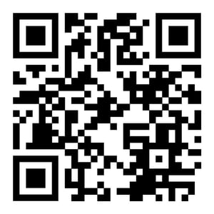 Bridalpod Free Wedding Website