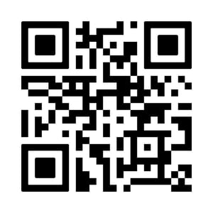 Bridalpod Free Wedding Website