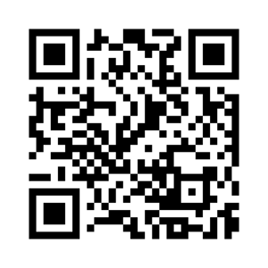 Bridalpod Free Wedding Website